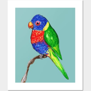 Cute rainbow lorikeet Posters and Art